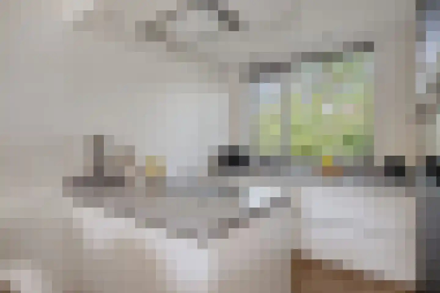 Goudrenet 19 Uden thumbnail 11