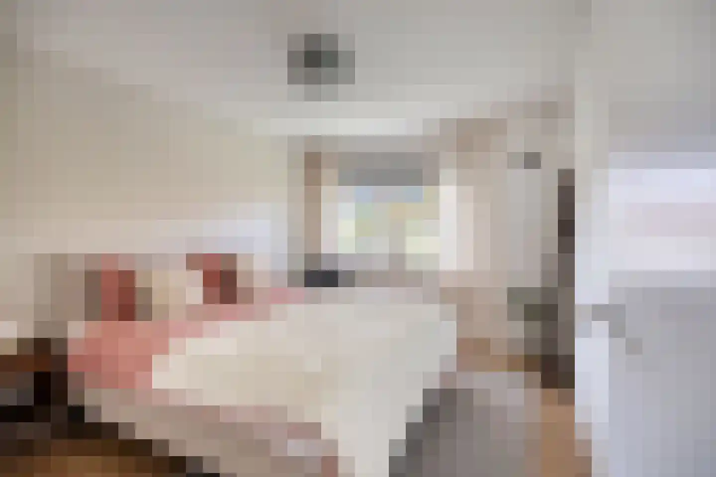 Goudrenet 19 Uden thumbnail 17