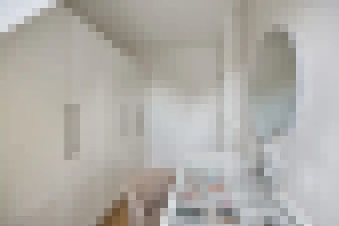 Goudrenet 19 Uden thumbnail 24
