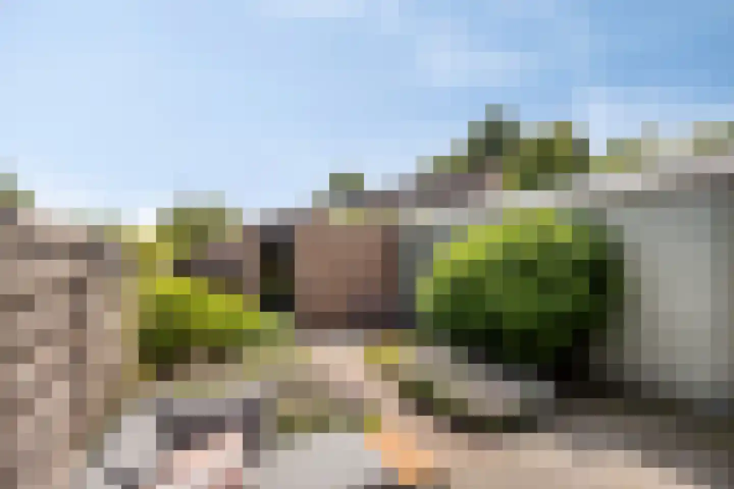 Goudrenet 19 Uden thumbnail 30