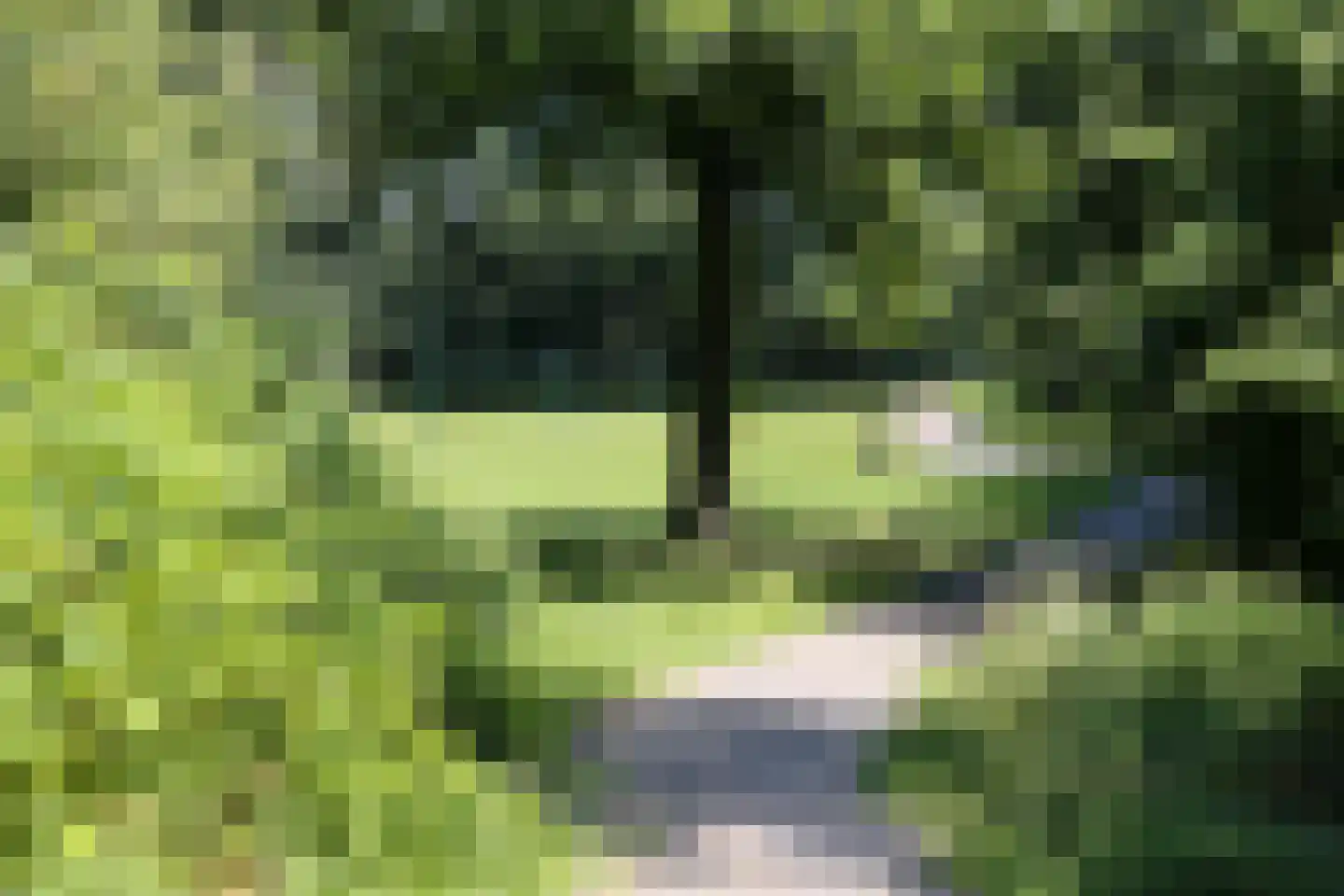 Goudrenet 19 Uden thumbnail 33
