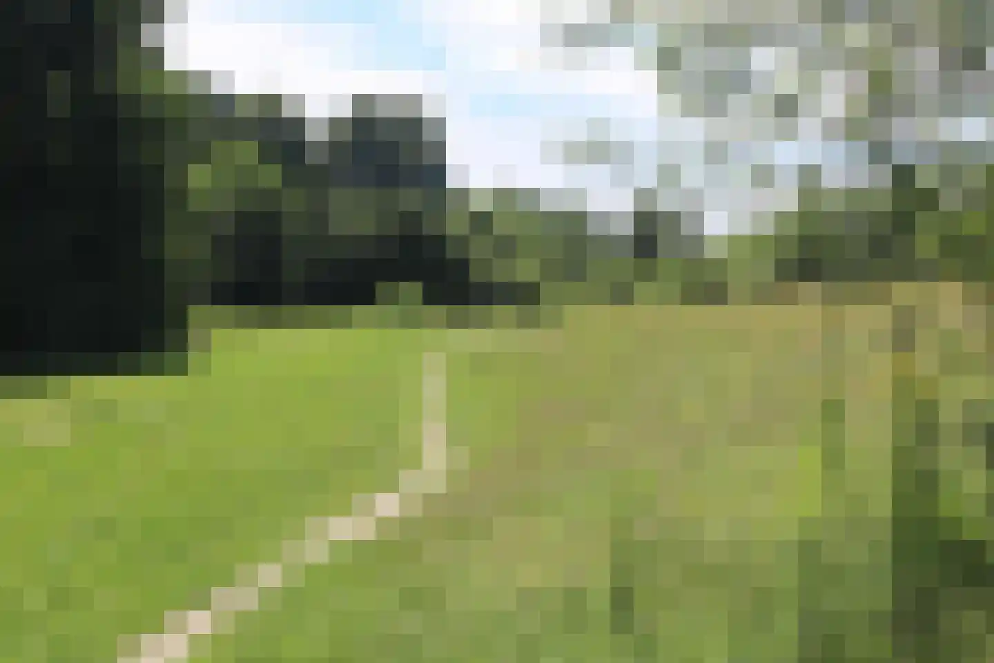 Goudrenet 19 Uden thumbnail 34