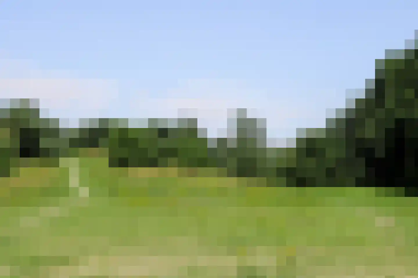 Goudrenet 19 Uden thumbnail 35