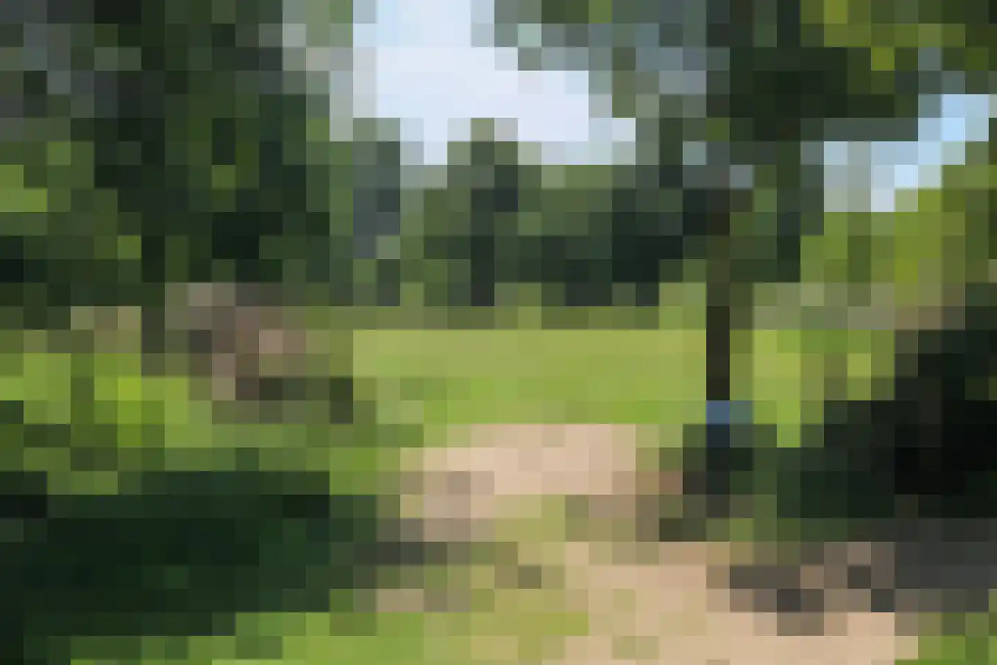 Goudrenet 19 Uden thumbnail 36