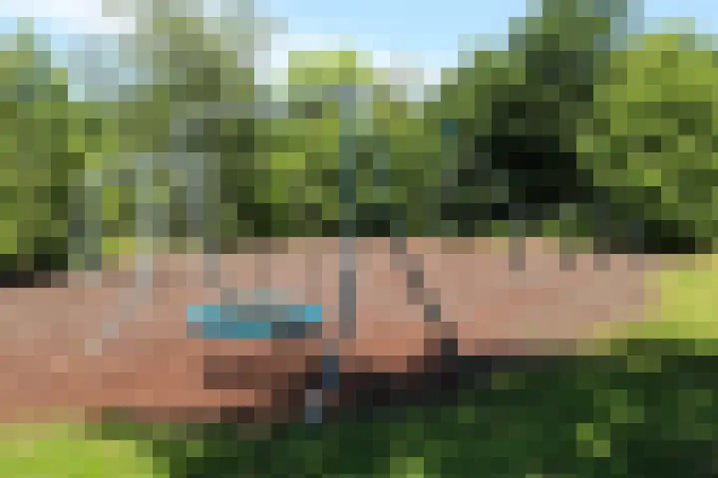 Goudrenet 19 Uden thumbnail 37