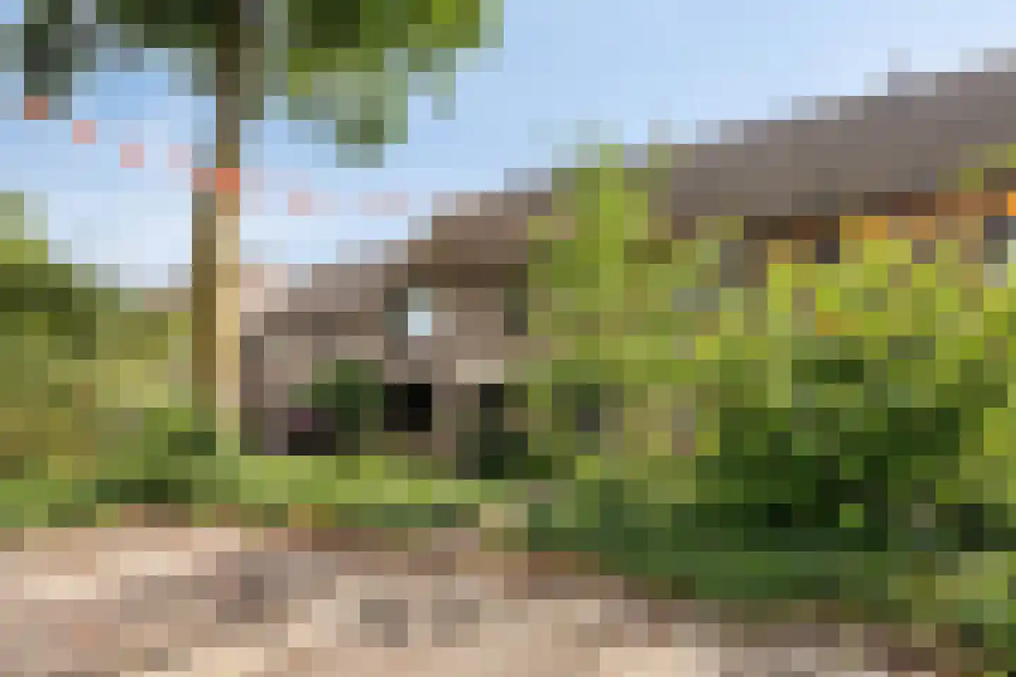 Goudrenet 19 Uden thumbnail 38