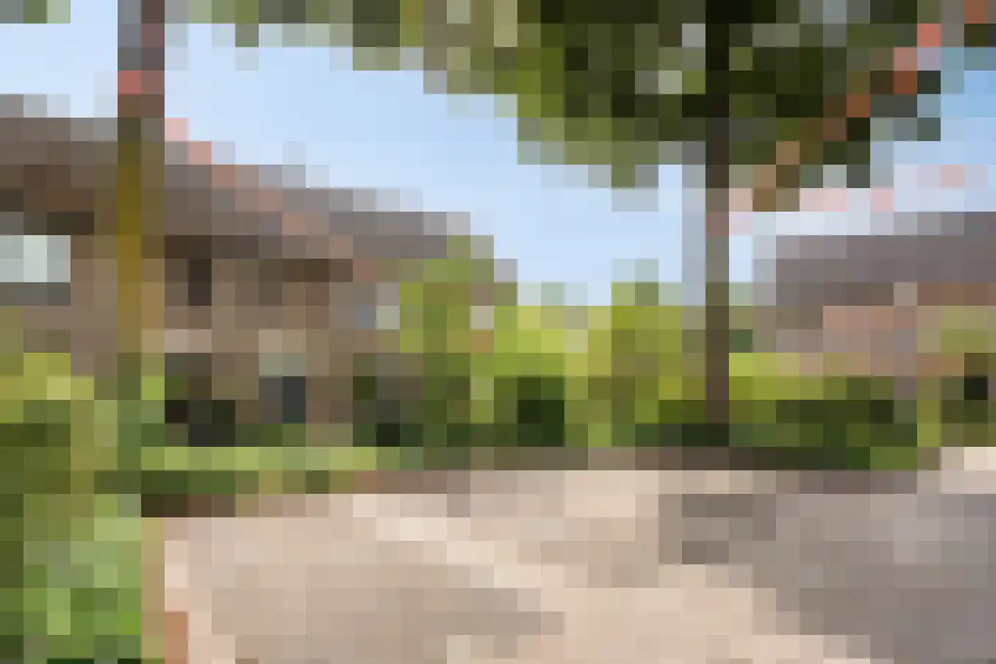 Goudrenet 19 Uden thumbnail 39