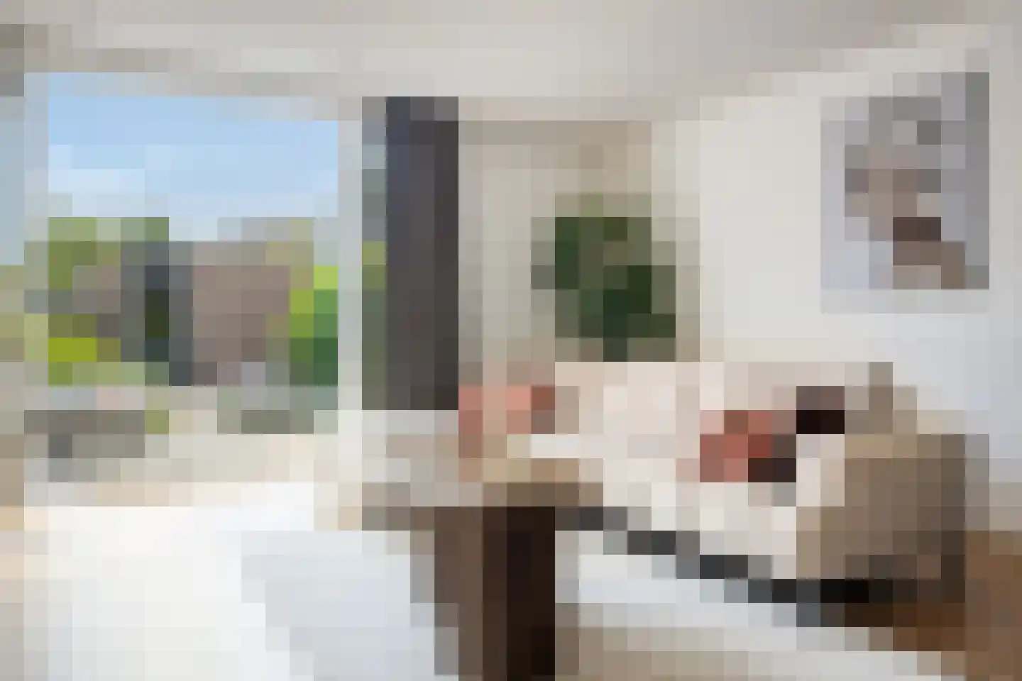 Goudrenet 19 Uden thumbnail 8
