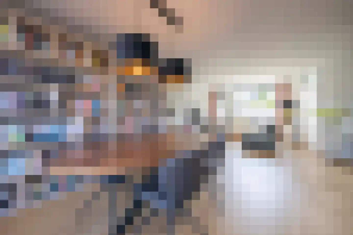 Goudrenet 20 Oirschot thumbnail 11