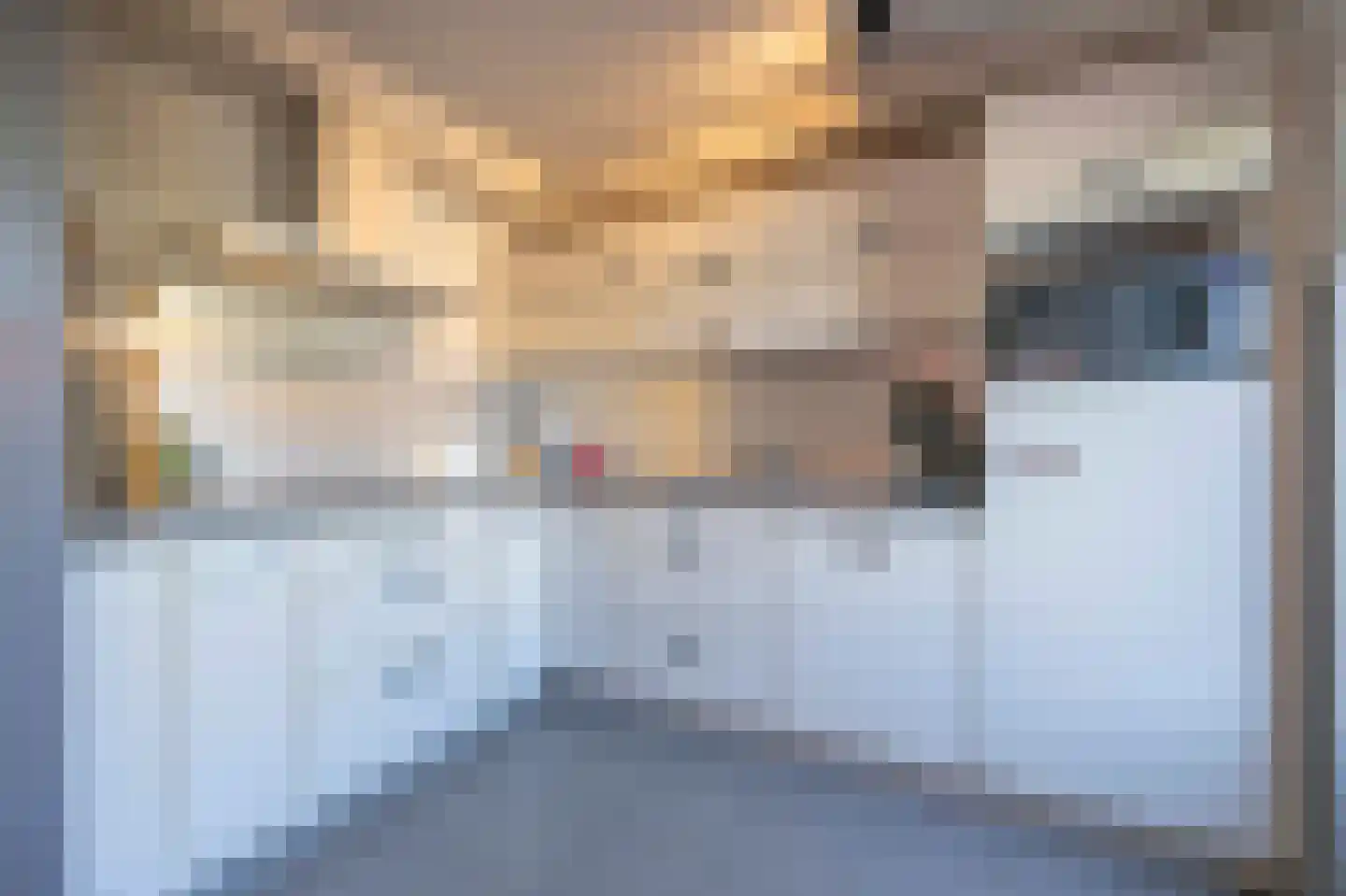 Goudrenet 20 Oirschot thumbnail 13