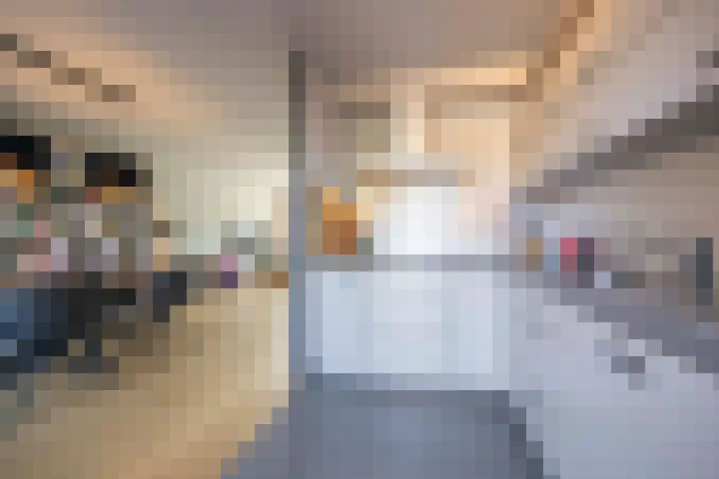 Goudrenet 20 Oirschot thumbnail 14