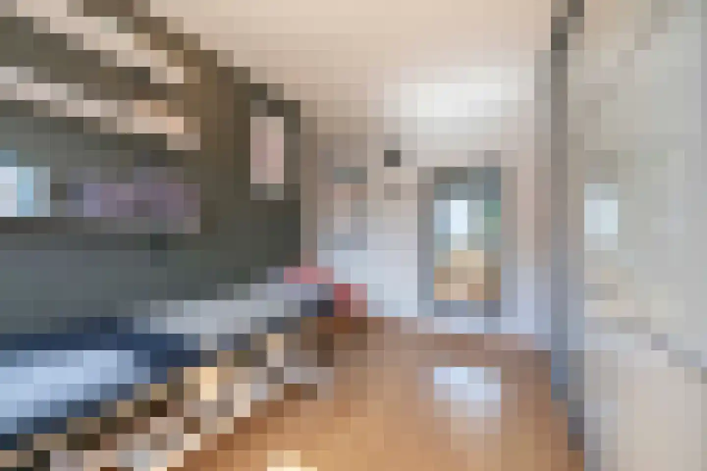 Goudrenet 20 Oirschot thumbnail 20