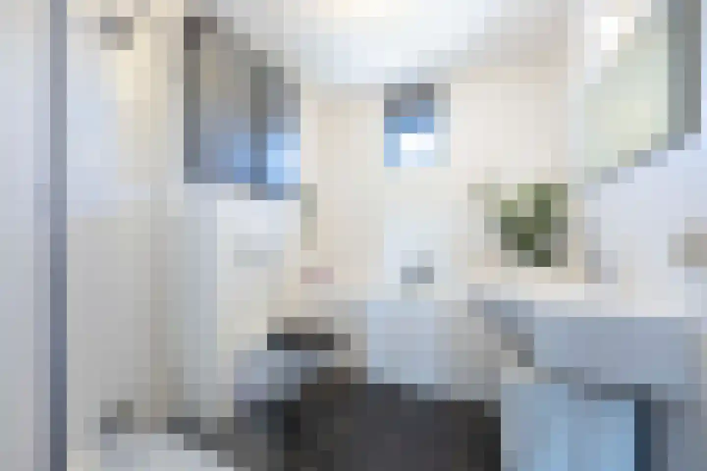 Goudrenet 20 Oirschot thumbnail 22