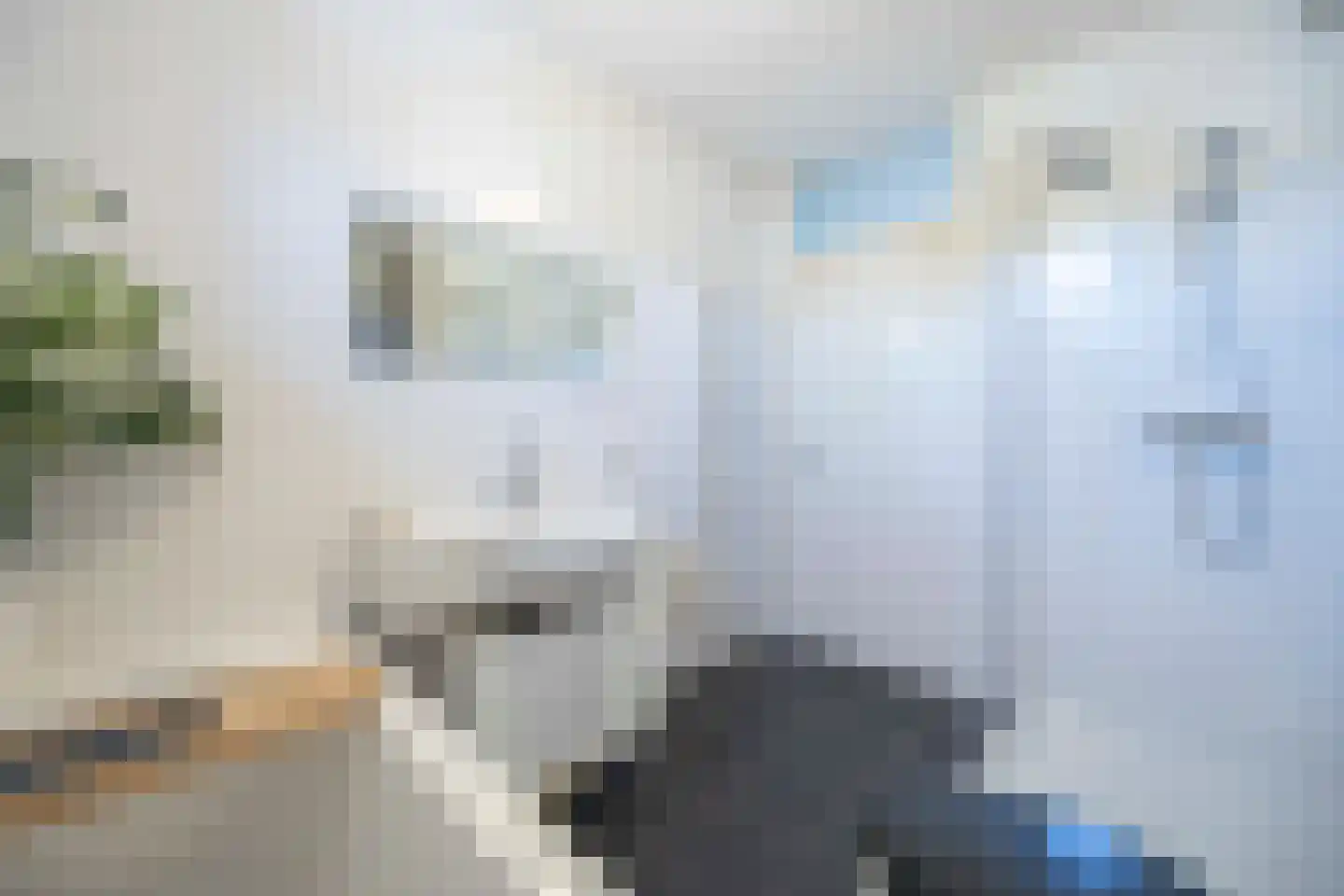 Goudrenet 20 Oirschot thumbnail 23