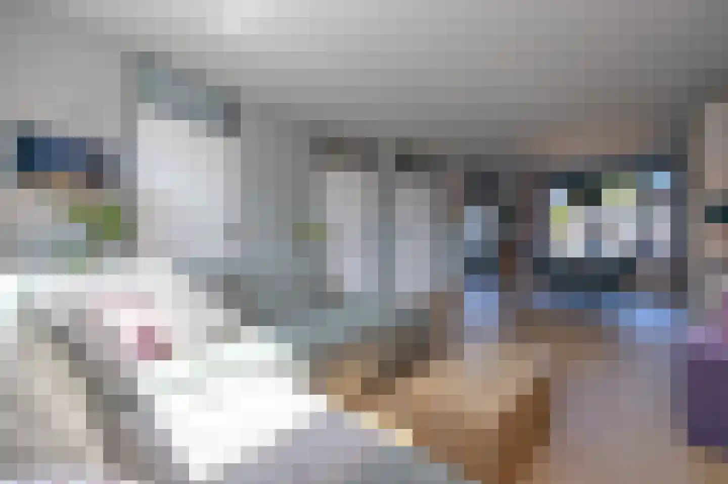 Goudrenet 20 Oirschot thumbnail 8