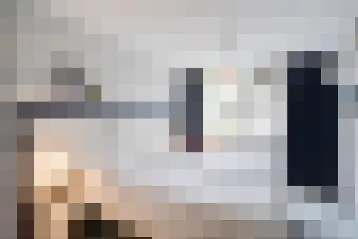 Goudrenet 24 Uden thumbnail 15