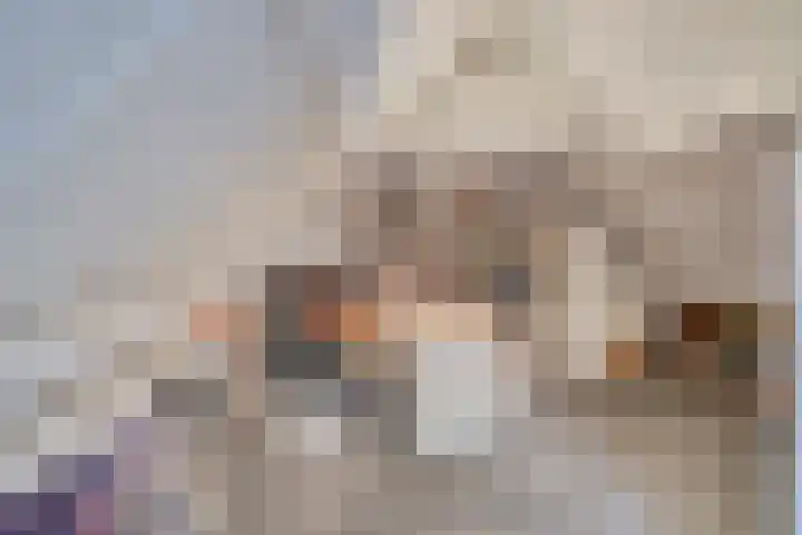 Goudrenet 24 Uden thumbnail 21