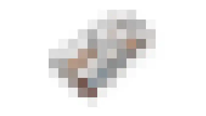 Goudrenet 24 Uden thumbnail 31