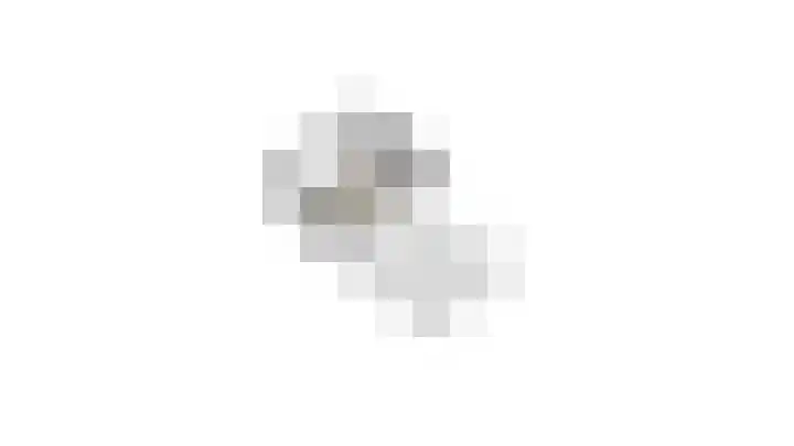 Goudrenet 24 Uden thumbnail 36