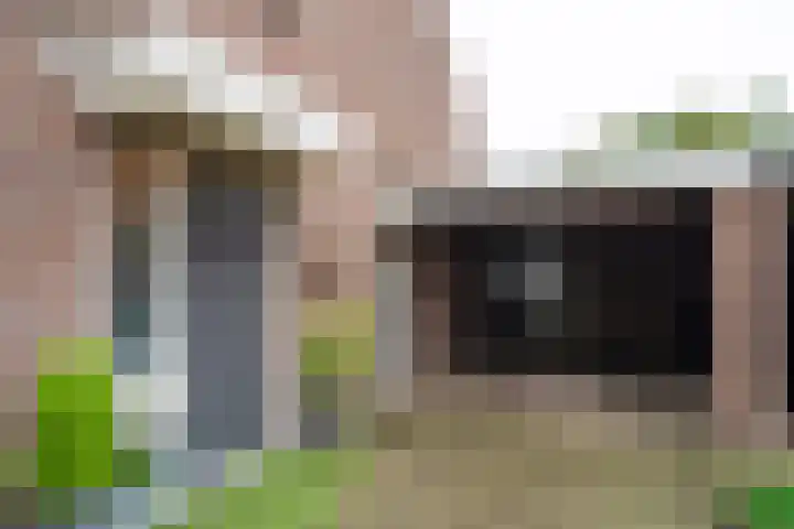 Goudrenet 24 Uden thumbnail 6