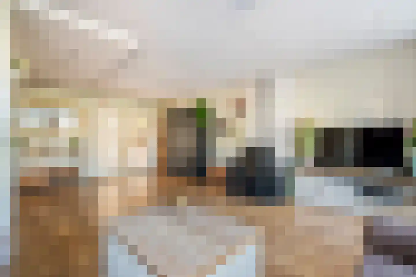 Goudrenet 29 Geldermalsen thumbnail 12