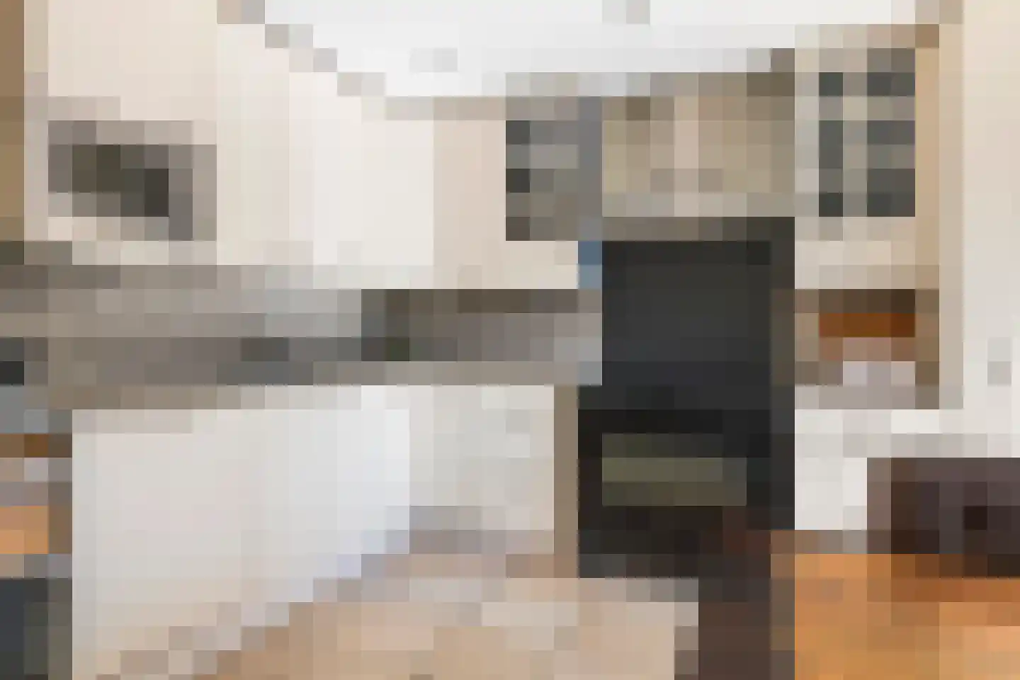 Goudrenet 29 Geldermalsen thumbnail 14