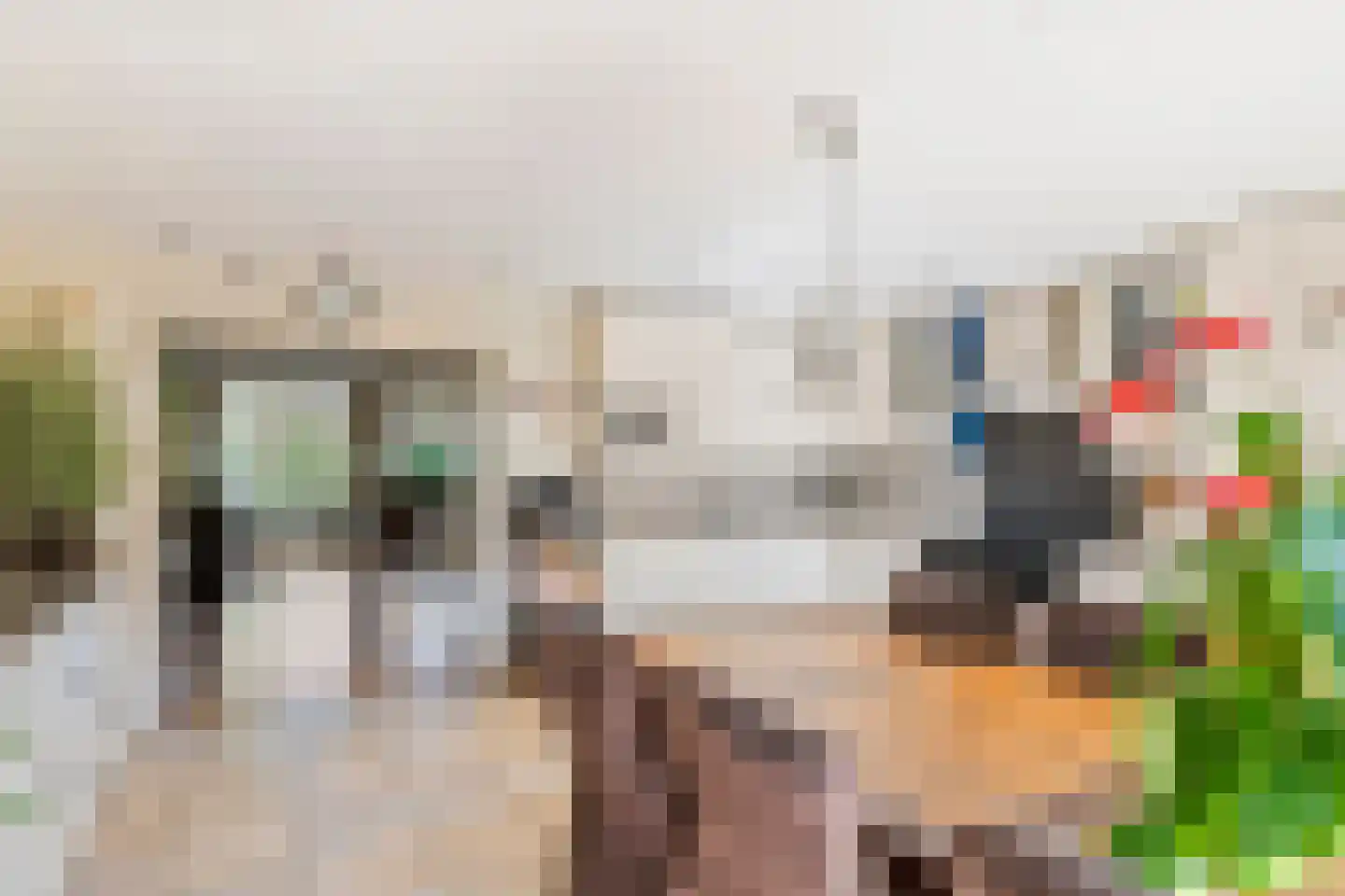 Goudrenet 29 Geldermalsen thumbnail 15