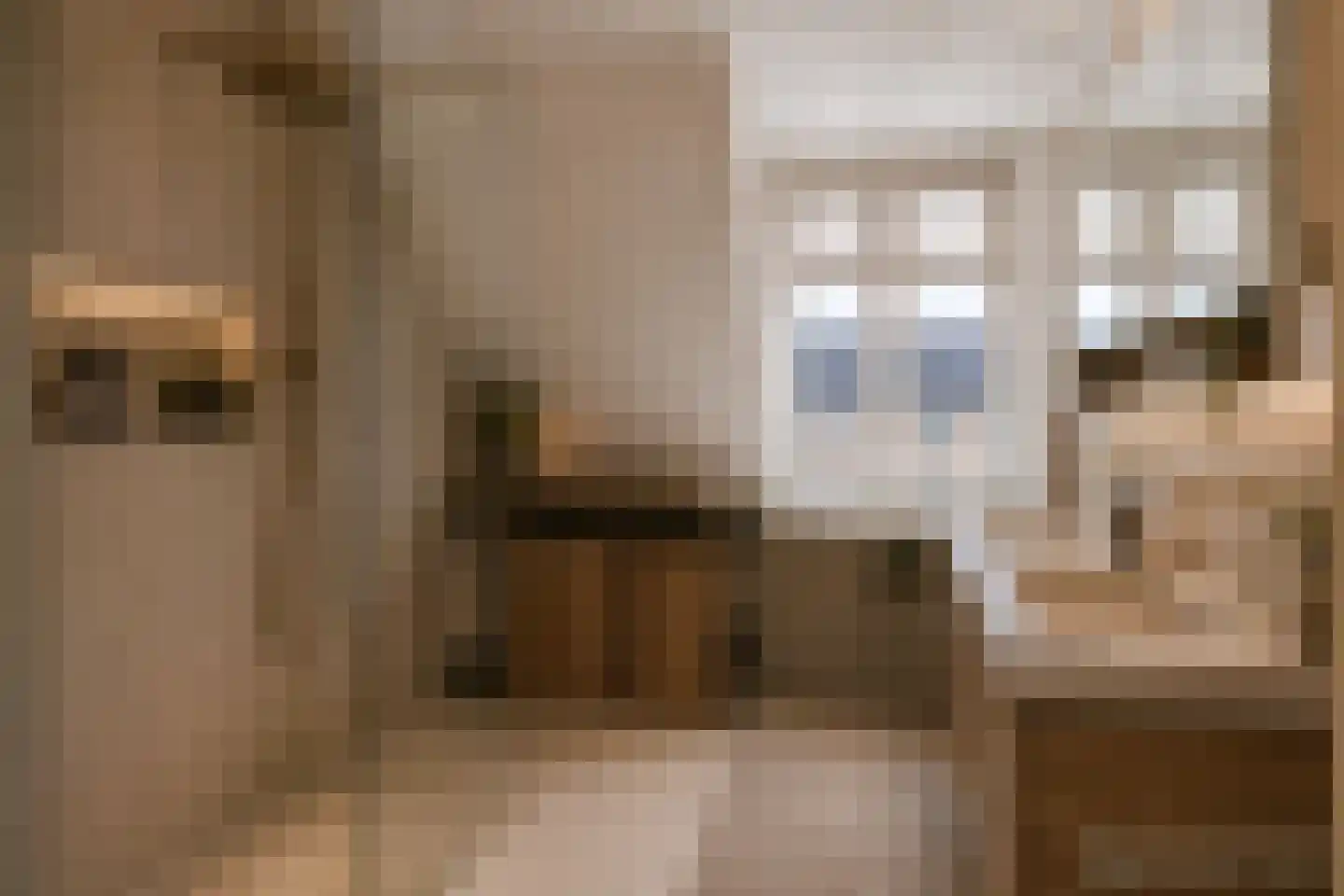Goudrenet 29 Geldermalsen thumbnail 20