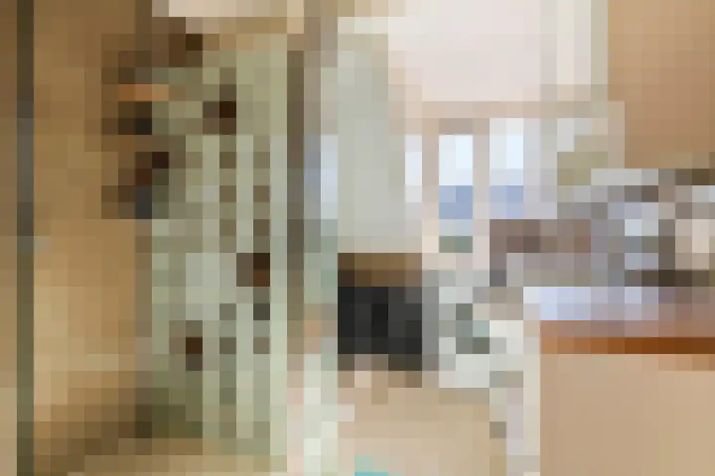 Goudrenet 29 Geldermalsen thumbnail 21