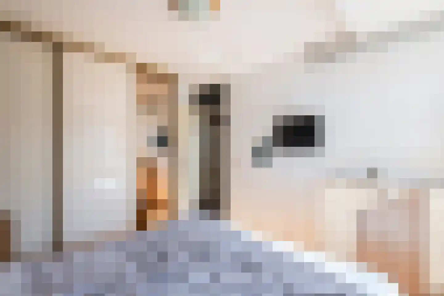 Goudrenet 29 Geldermalsen thumbnail 24