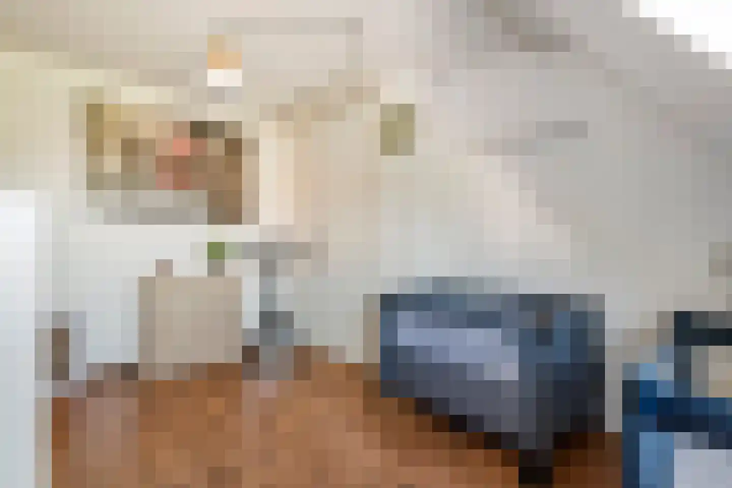 Goudrenet 29 Geldermalsen thumbnail 26