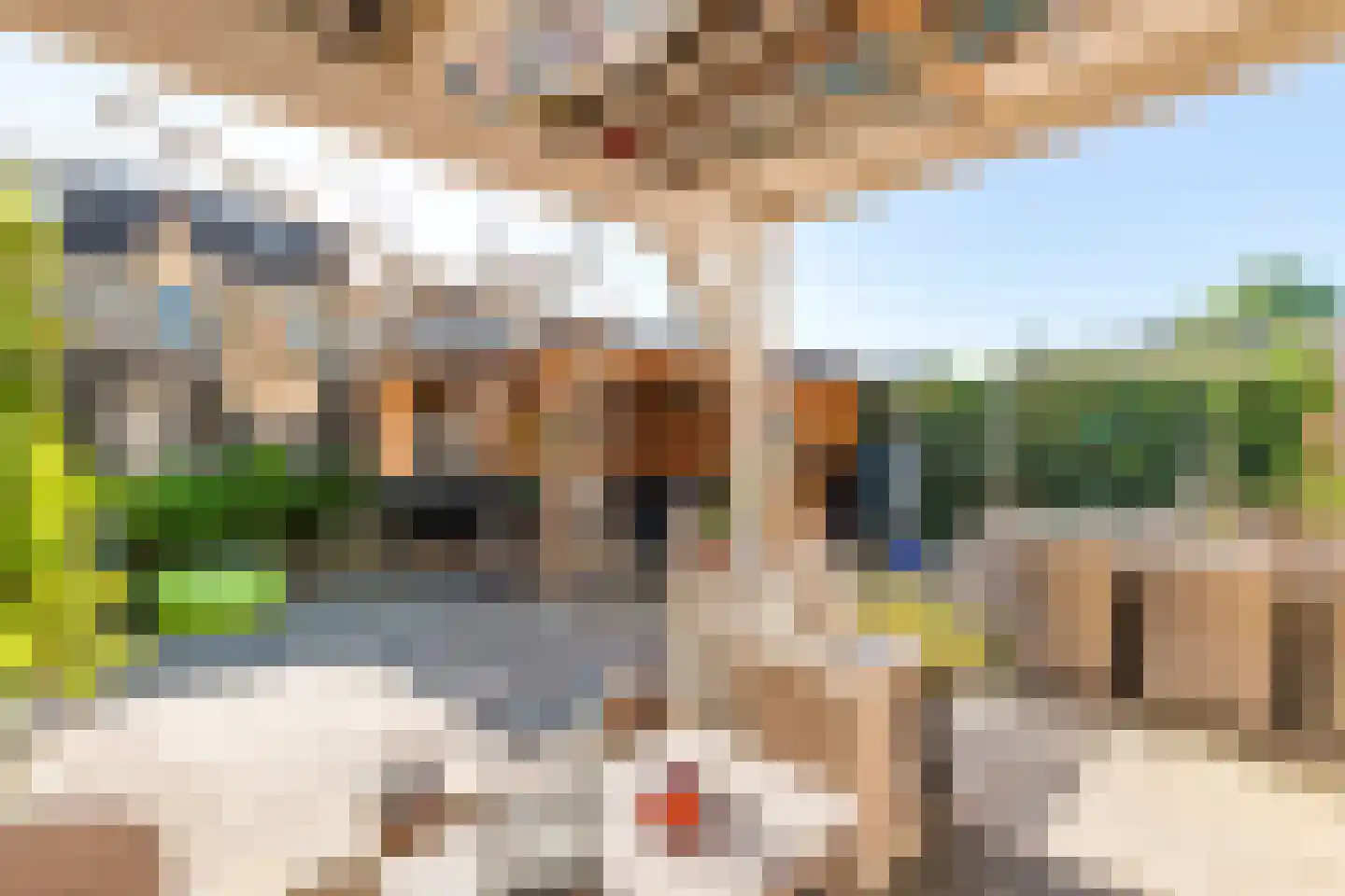 Goudrenet 29 Geldermalsen thumbnail 34