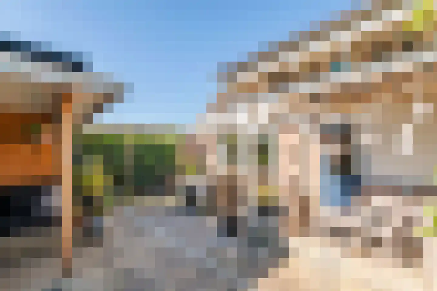 Goudrenet 29 Geldermalsen thumbnail 35