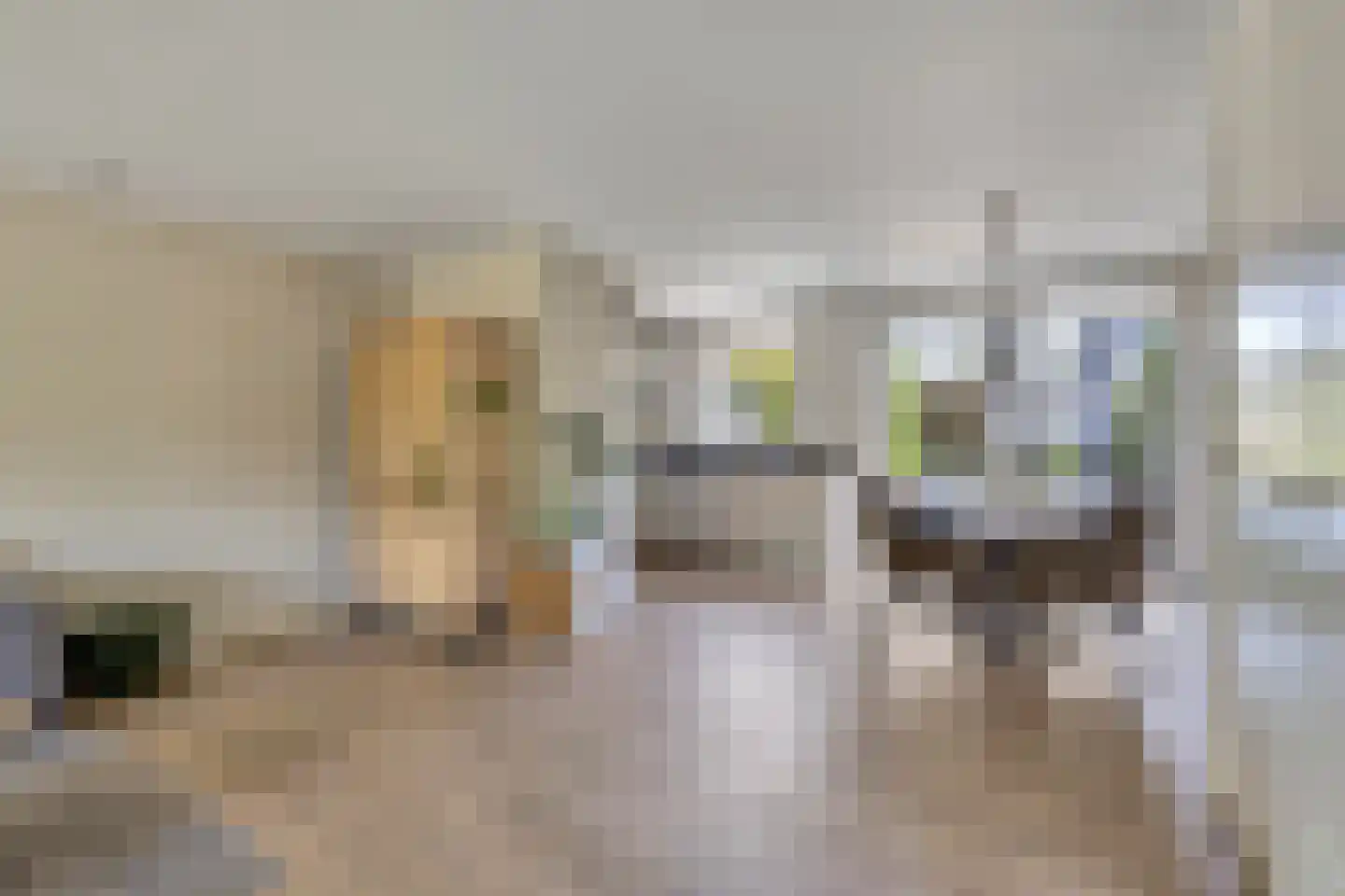 Goudrenet 4 Oirschot thumbnail 10