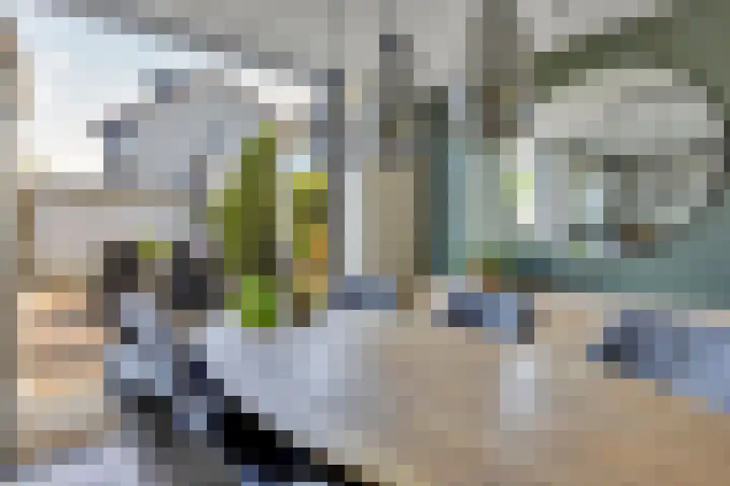 Goudrenet 4 Oirschot thumbnail 13