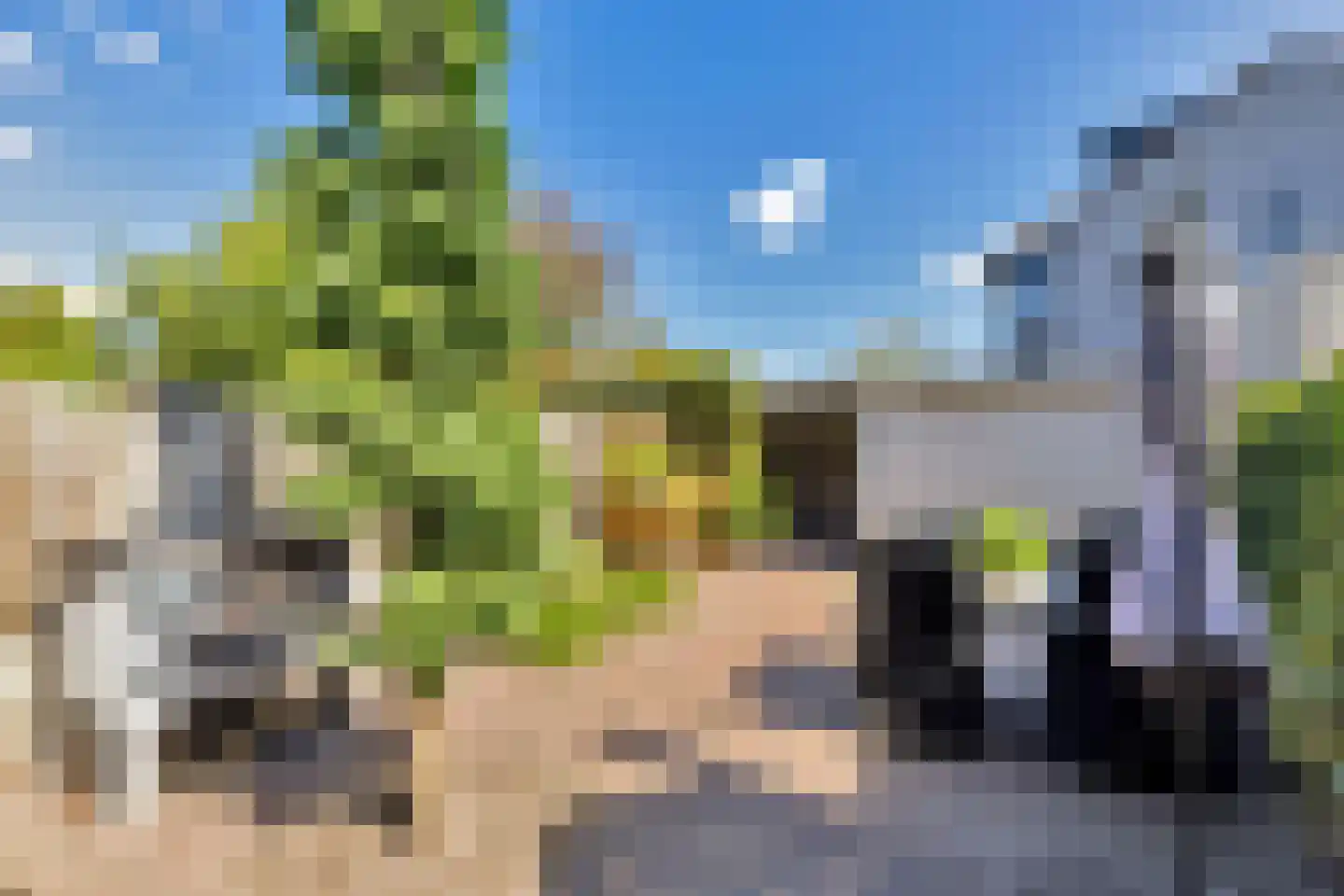 Goudrenet 4 Oirschot thumbnail 30