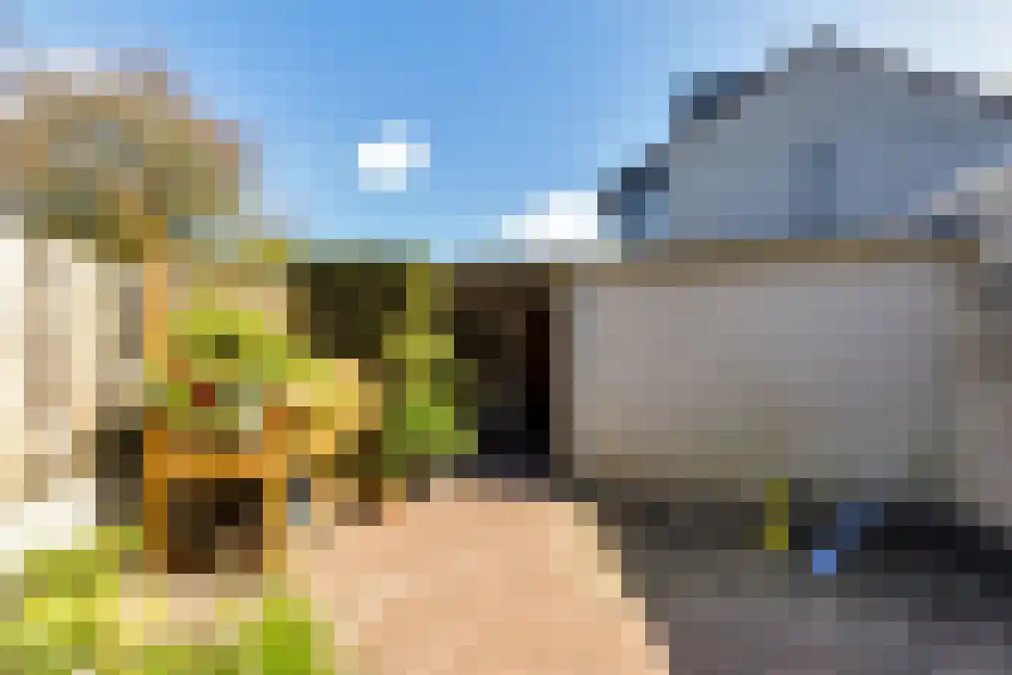 Goudrenet 4 Oirschot thumbnail 31