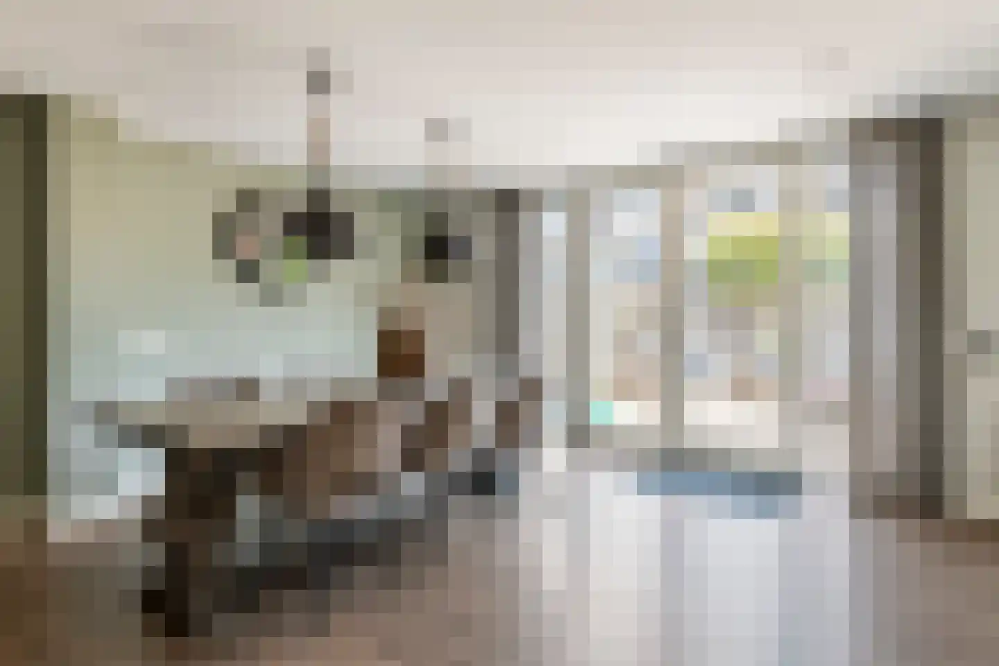 Goudrenet 49 Geldermalsen thumbnail 16
