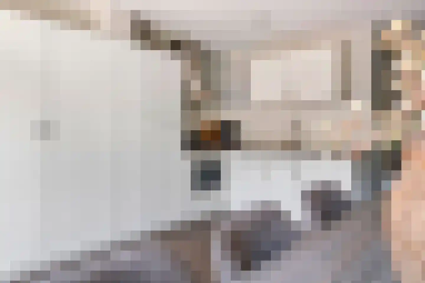 Goudrenet 49 Geldermalsen thumbnail 19