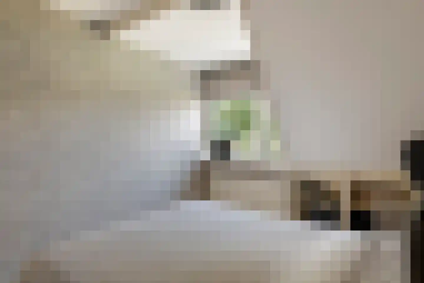 Goudrenet 49 Geldermalsen thumbnail 26