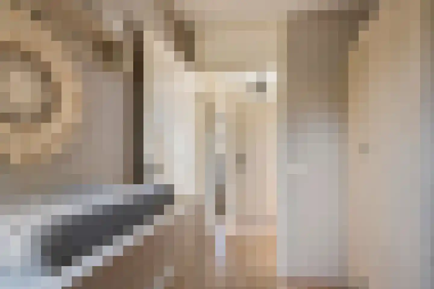 Goudrenet 49 Geldermalsen thumbnail 31