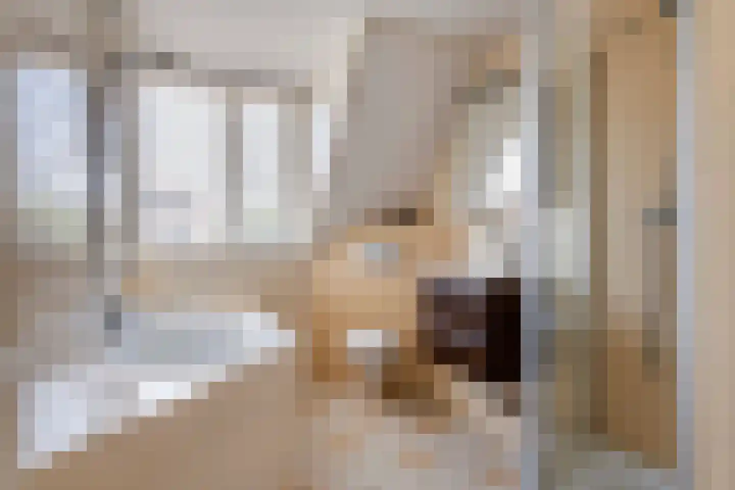 Goudrenet 49 Geldermalsen thumbnail 32