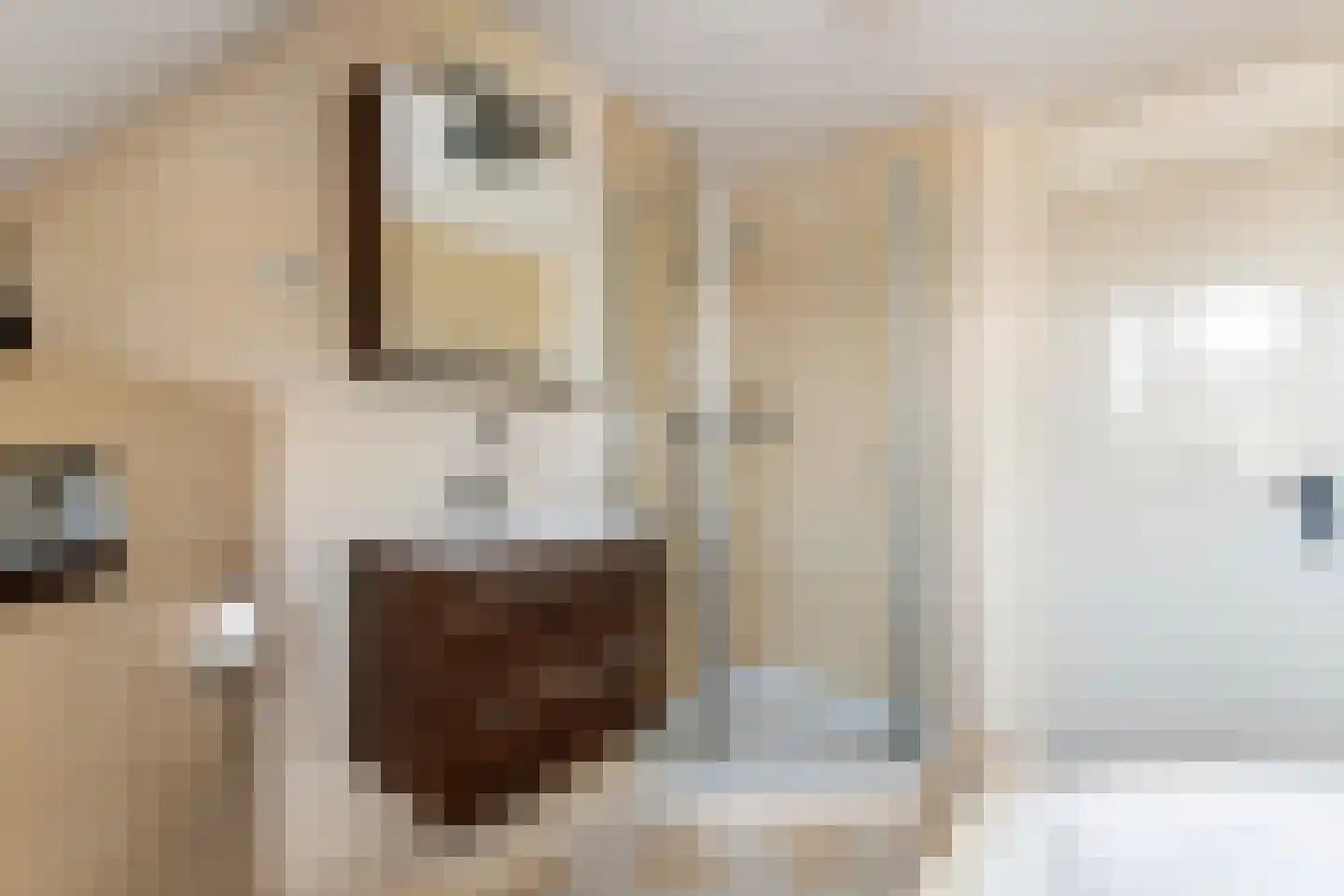 Goudrenet 49 Geldermalsen thumbnail 33