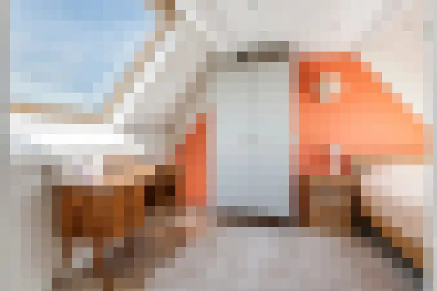 Goudrenet 49 Geldermalsen thumbnail 35