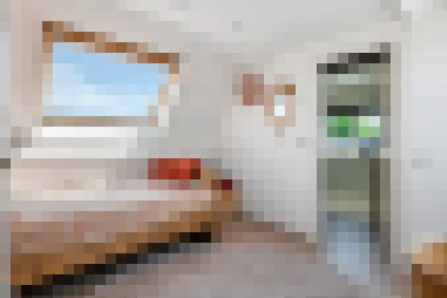 Goudrenet 49 Geldermalsen thumbnail 36