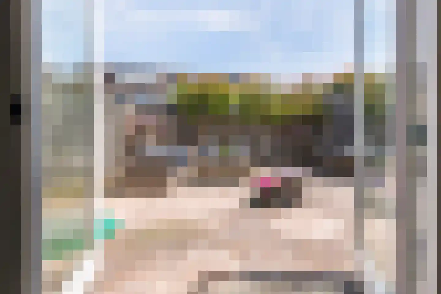 Goudrenet 49 Geldermalsen thumbnail 38