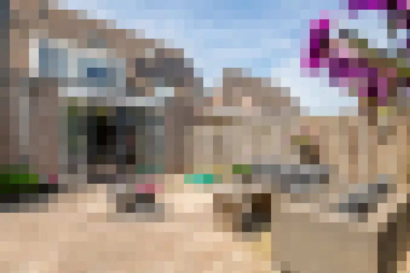 Goudrenet 49 Geldermalsen thumbnail 39