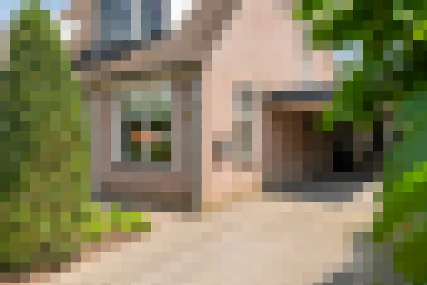 Goudrenet 49 Geldermalsen thumbnail 44