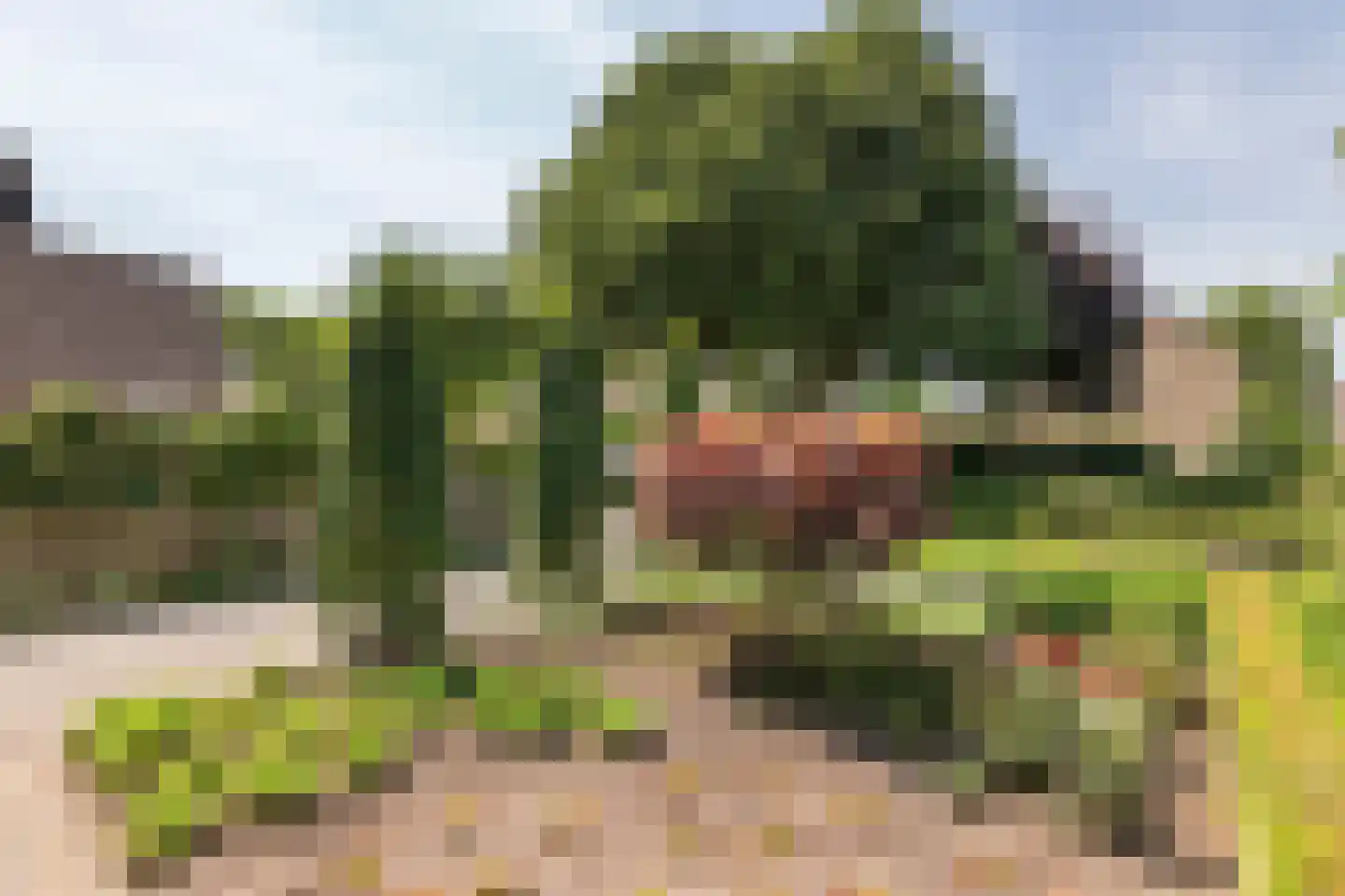 Goudrenet 49 Geldermalsen thumbnail 45