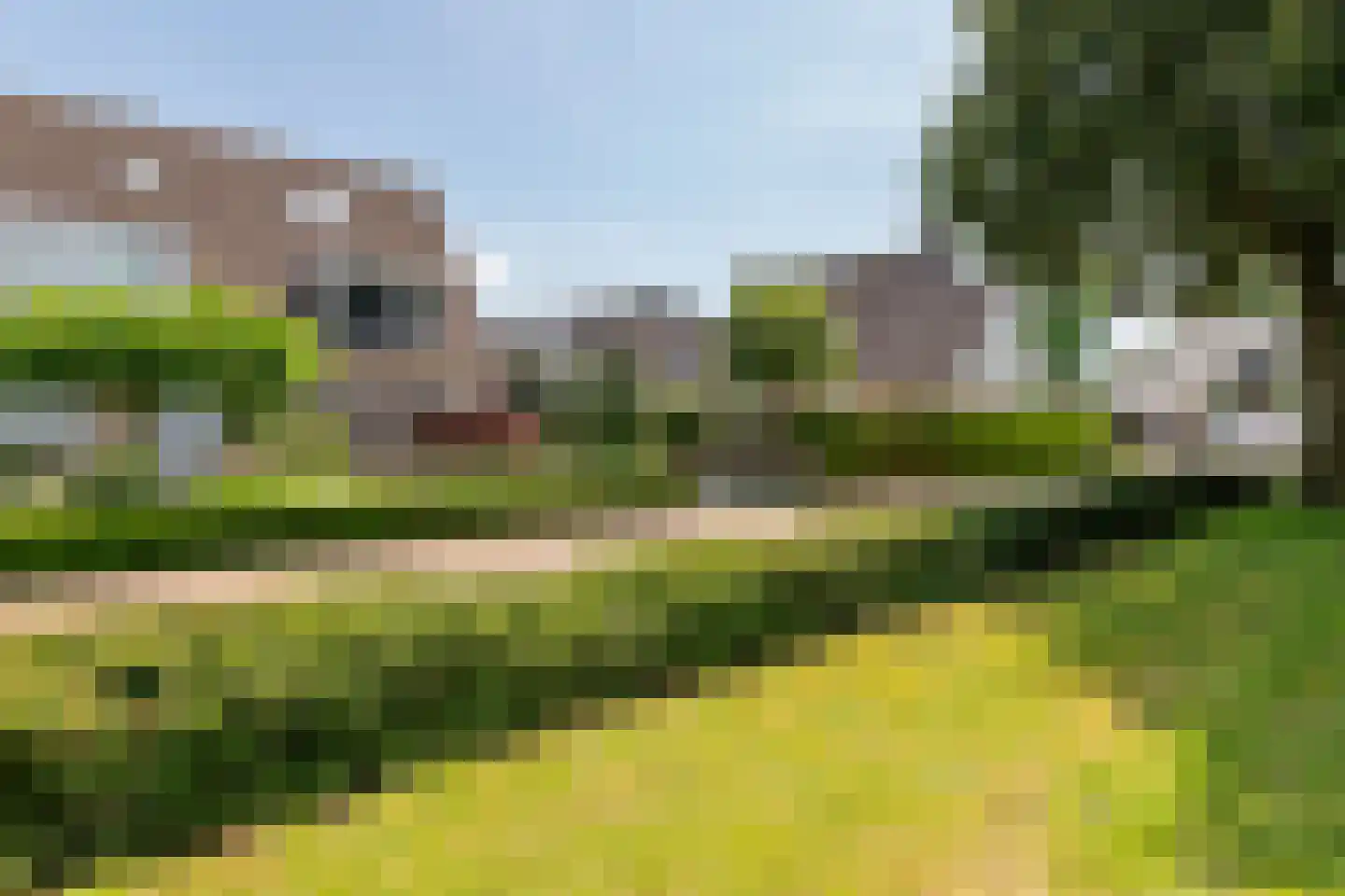 Goudrenet 49 Geldermalsen thumbnail 47